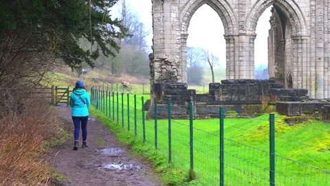 Adele at Roche Abbey Stock Footage 321474317