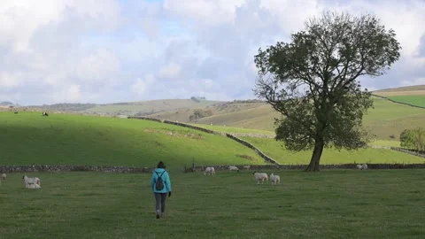 Adele walking in Alstonefield. Stock Footage 321467775
