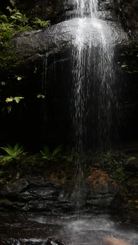 Adelina Falls Stock Footage 221476268