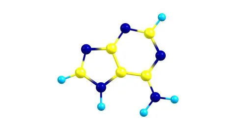 Adenine molecular structure isolated on white Stock Illustration