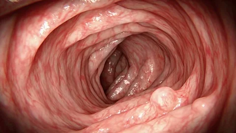 Body Animation Stock Videos – Royalty-Free HD & 4K Videos | Page 15