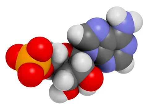 Adenosine monophosphate molecule Stock Illustration