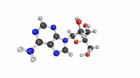 Adenosine (a) nucleoside molecule, chemical structure (part of dna) Stock Footage 32167366