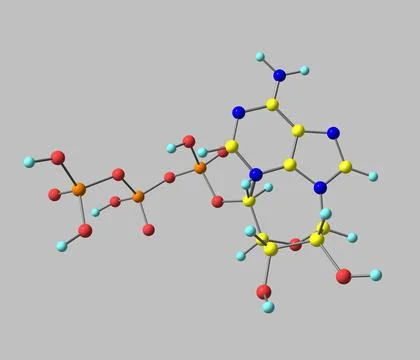 Adenosine triphosphate (ATP) molecule isolated on gray Stock Illustration