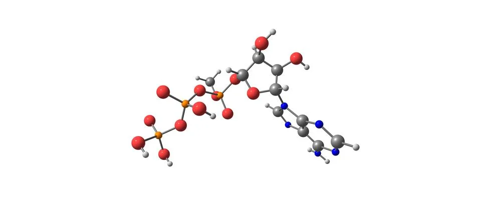 Adenosine triphosphate molecular structure isolated on white Stock Illustration