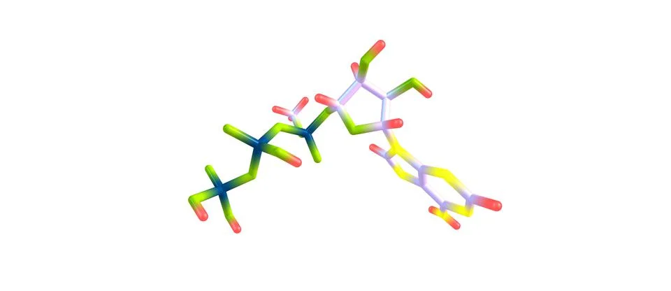 Adenosine triphosphate molecular structure isolated on white Stock Illustration
