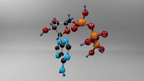 Adenosine triphosphate molecule. Stock Footage