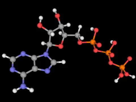 Adenosine triphosphate molecule Stock Illustration