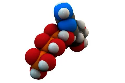 Adenosine triphosphate molecule Stock Illustration