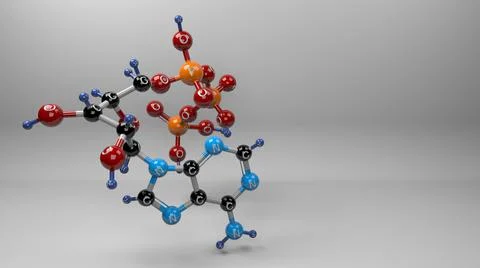 Adenosine triphosphate molecule. Stock Illustration