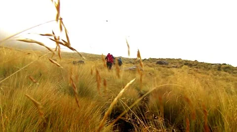 Adenture Expedition on Volcan Stock Footage 8972641