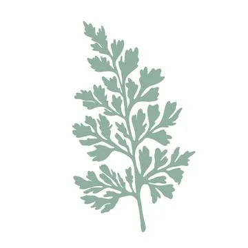 Adiantum capillus veneris list. Vector green fern Illustrazione stock