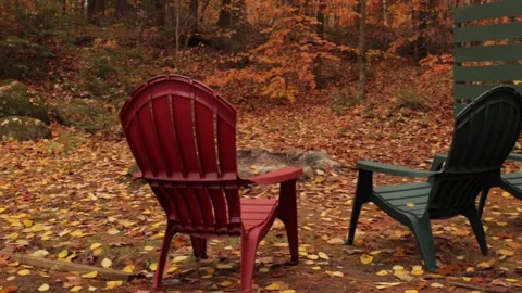 Adirondack Chairs Stock Footage 147687838