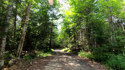 Adirondack Driving Barker Pond Blue Mountain Lake New York Stock Footage 339973379