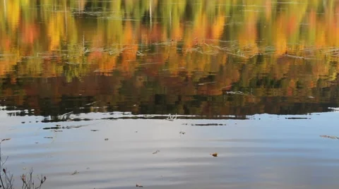 Adirondack pond during peak fall foliage 스톡 동영상 50427545