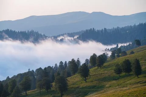Adjara Mountains, Georgia. Rolling green hills shrouded in morning mist und.. Stock Photos