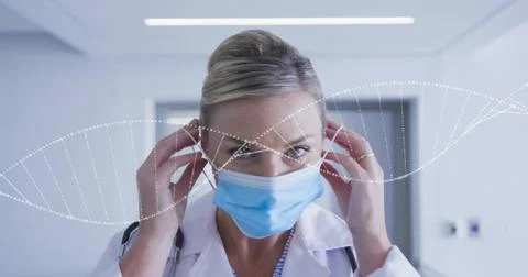 Adjusting doctor pulling blue mask in clinic hall, wearing lab coat and striped Stock Photos