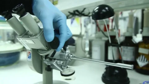 Adjusting microscope Stock Footage 77051874
