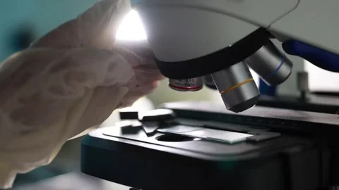 Adjusting objective lens of a microscope Stockbeeldmateriaal 311837236