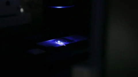 Adjusting sample in modern microscope Stock Footage 34314224