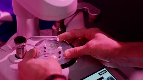 Adjusting Specimen Under Laboratory Microscope, Research Lab, Close Up Shot Stock Footage 341523318