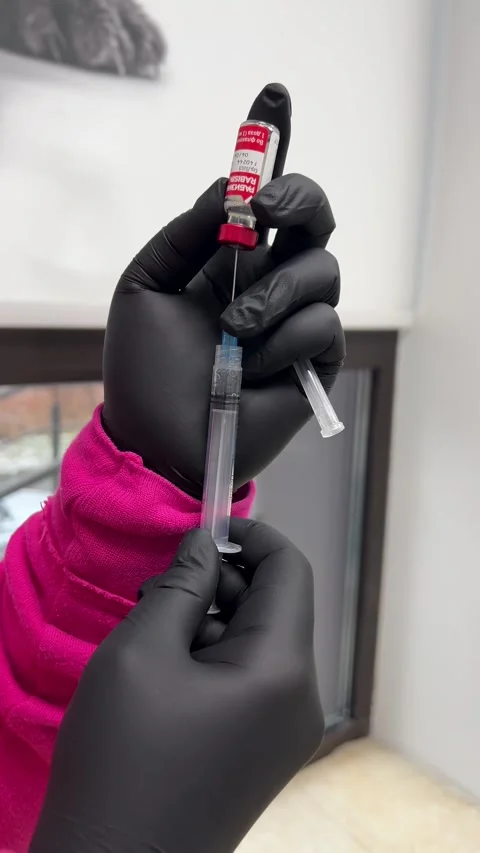 Administering a Vaccine in a Clinical Setting with proper protocols is crucial Stock Footage 308394656