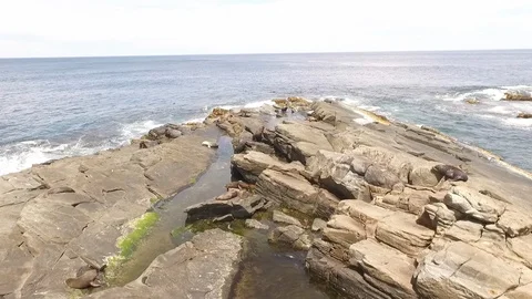 Admirals arch Stock Footage 100561037