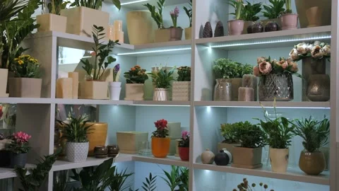 Admiring client looking at flowers growing in pots Stock Footage 107573342