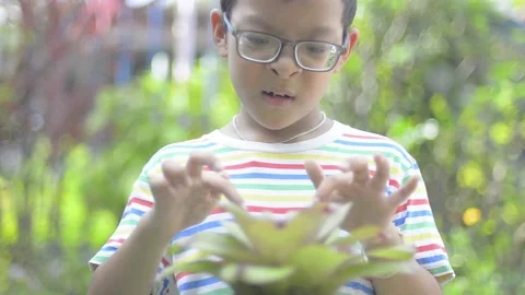 Admiring the plants in the pot Stock Footage 159735358