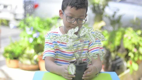 Admiring the plants in the pot Stock Footage 159735364