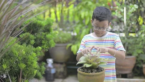 Admiring potted plants Stock Footage 159735356