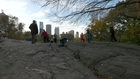 Admiring the view from the rocks in Central Park Stock Footage 87054810