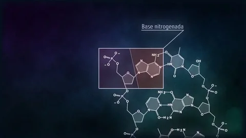 ADN Animación 스톡 동영상 80861667