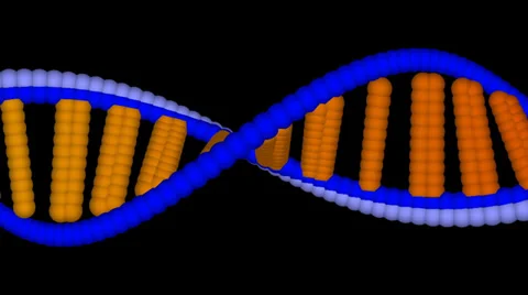 ADN. Animated Simulation of a string of DNA code Stock Footage 34391140