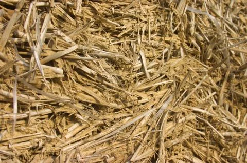 Adob for walls Stock Photos