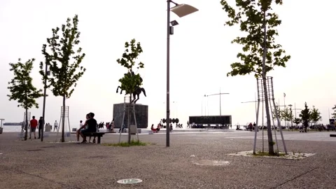 Adobe-Alexander Timelapse Stock-Footage 130608573