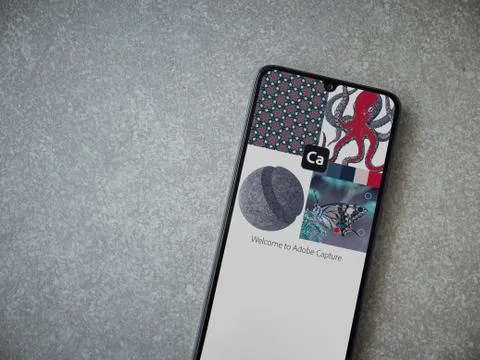 Adobe Capture - Vector and Pattern Maker app launch screen with logo on the d Stock Photos