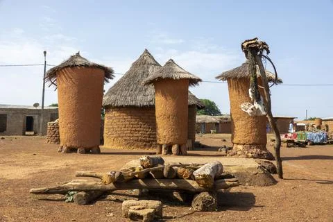 Adobe granaries with conical thatched roofs stand in a row in a Senufo vill.. Stock Photos