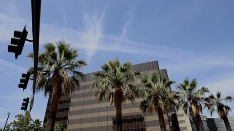 Adobe Headquarters in San Jose Stock Footage 113660737