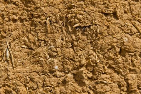 Adobe texture - textura adobe 스톡 사진