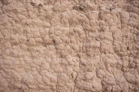 Adobe wall Stock Photos