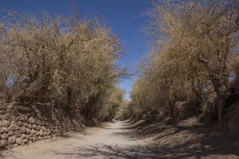 Adobe wall Foto stock