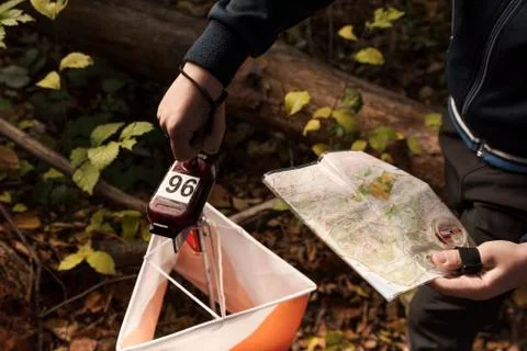 Adolescent in forest checking to a control point in Orienteering competition. Stock Photos