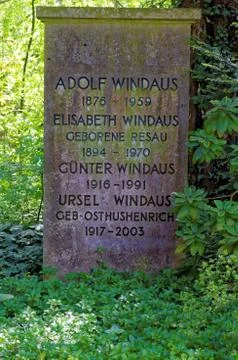 Adolf Windaus monument Stock Photos