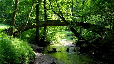 Adomas Mickevicius valley in Kaunas Stock Footage 98682667