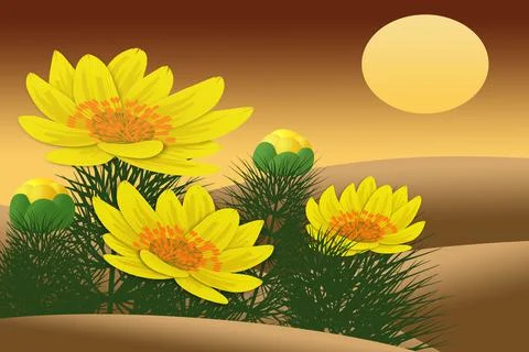 Adonis by day Stock Illustration