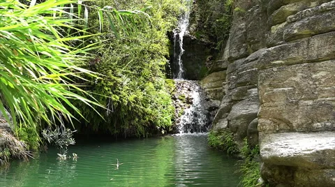 Adonis waterfall, baths. Cyprus. Stock Footage 68327381