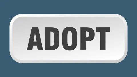 Adopt button. adopt square 3d push button Illustrazione stock