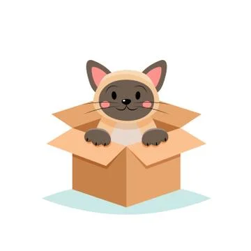 Adopt a pet - cute cat in a box, isolated on white background Illustrazione stock