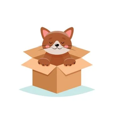 Adopt a pet - cute cat in a box, isolated on white background Illustration